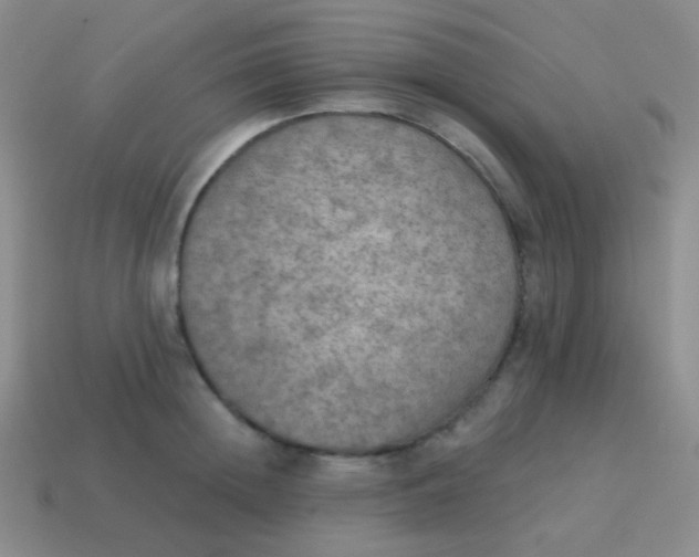 X0000115070852200911101301