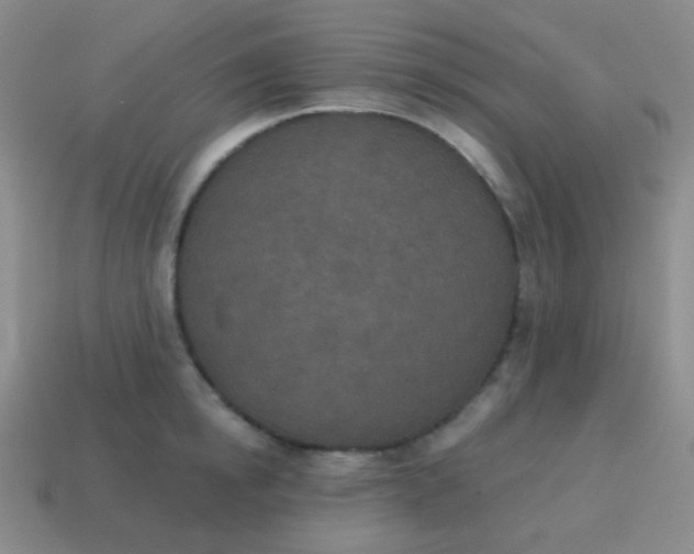 X0000115070854200911101301