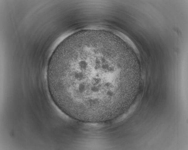 X0000115070855200911101301