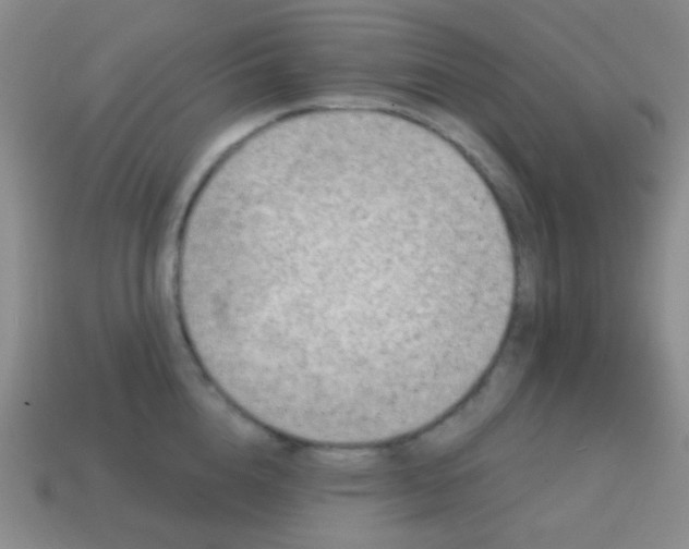X0000115070856200911101301