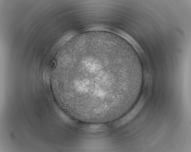 X0000115070857200911101301