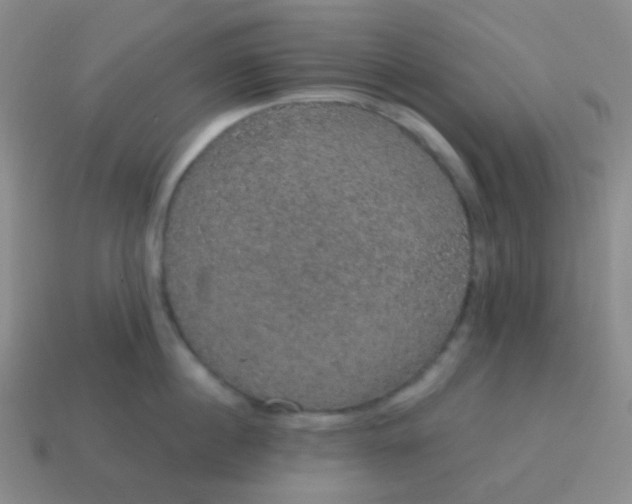 X0000115070860200911101301