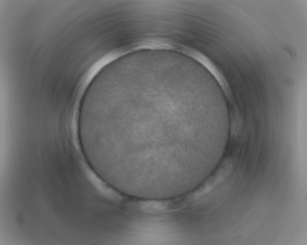 X0000115070861200911101301