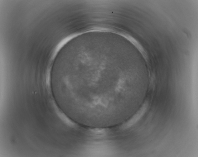X0000115070862200911101301