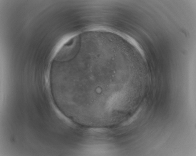 X0000115070863200911101301