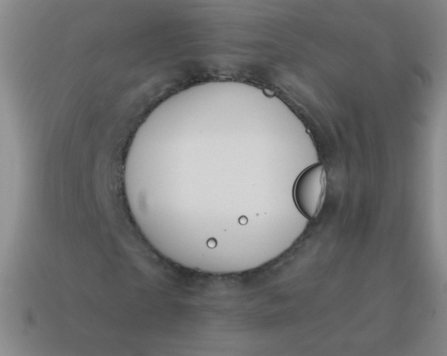 X0000115070865200911101301