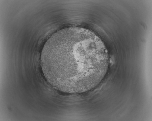 X0000115070867200911101301