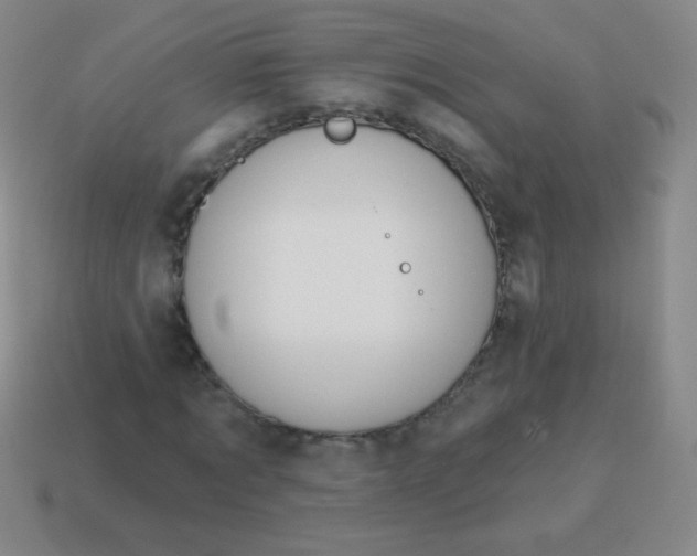 X0000115070869200911101301