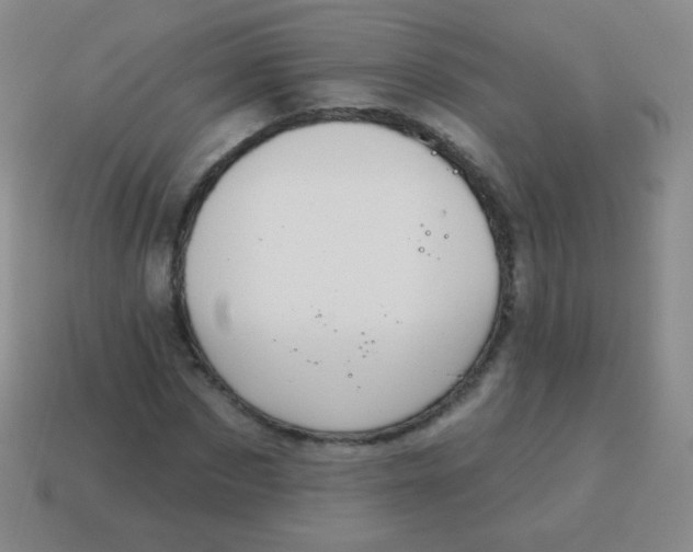 X0000115070873200911101300