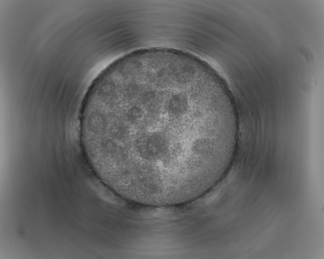 X0000115070879200911101300