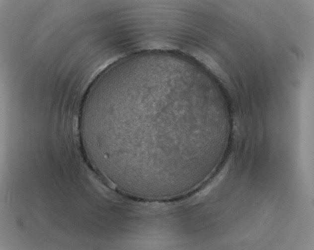X0000115070881200911101300