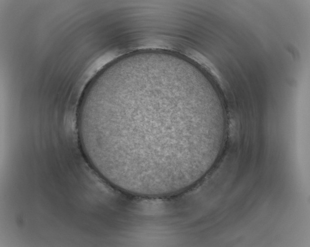X0000115070882200911101300