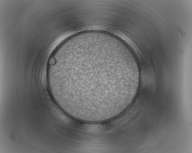 X0000115070886200911101300