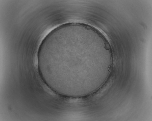 X0000115070887200911101300