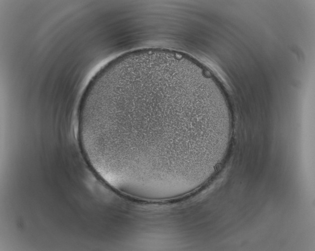 X0000115070888200911101300