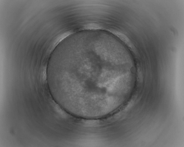 X0000115070889200911101300