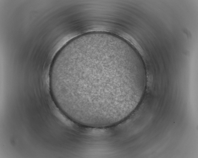 X0000115070890200911101300