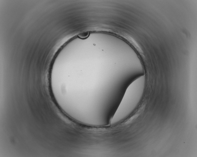 X0000115070893200911101300