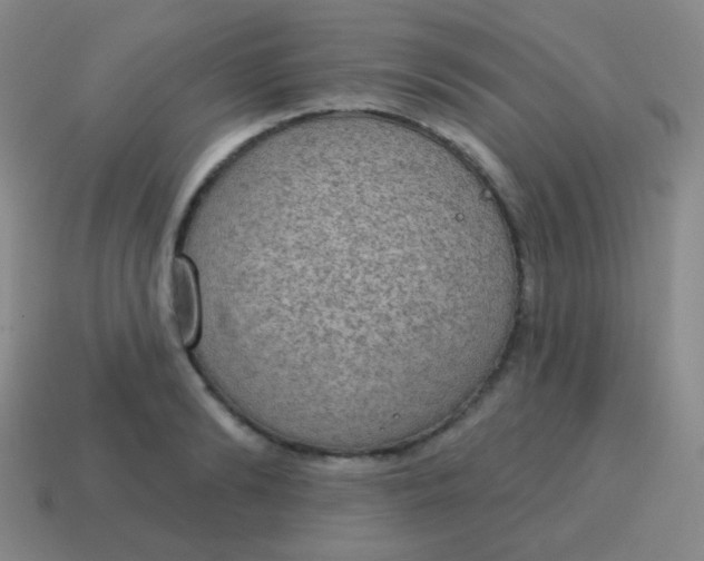X0000115070894200911101300