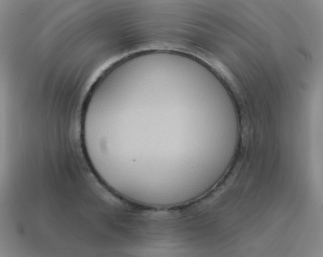 X0000115070896200911101300