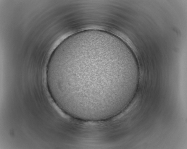 X0000115070898200911101300