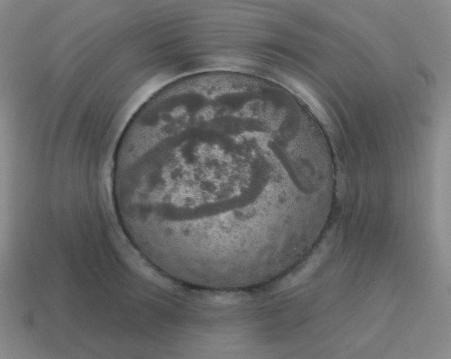 X0000115070899200911101300