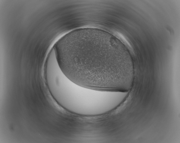 X0000115070900200911101300