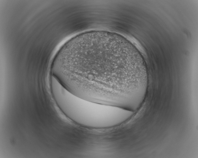 X0000115070904200911101300