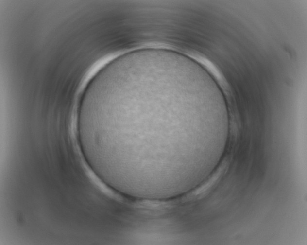 X0000115070910200911101300