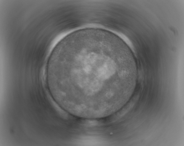 X0000115070911200911101300