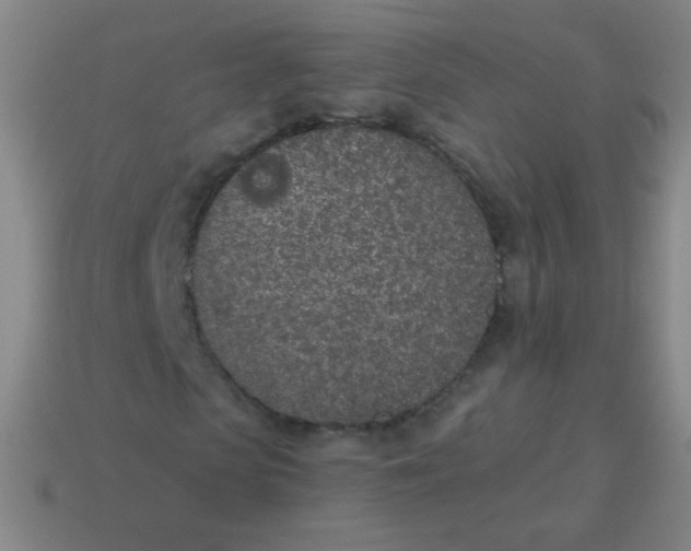 X0000115070913200911101259