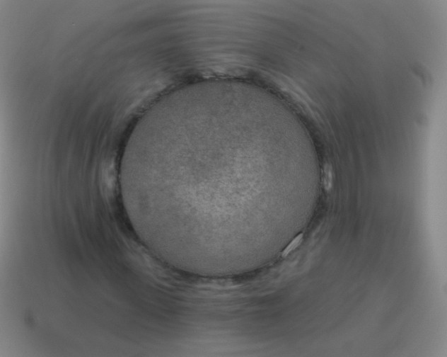 X0000115070915200911101259