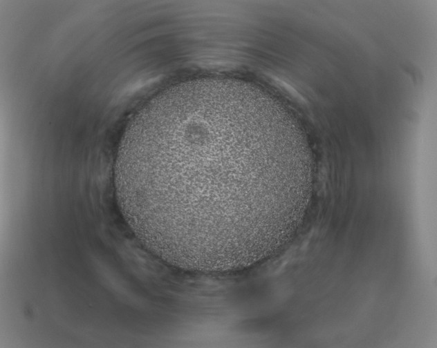 X0000115070917200911101259