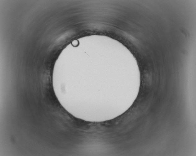 X0000115070918200911101259
