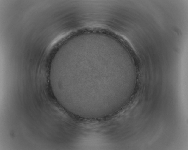 X0000115070919200911101259