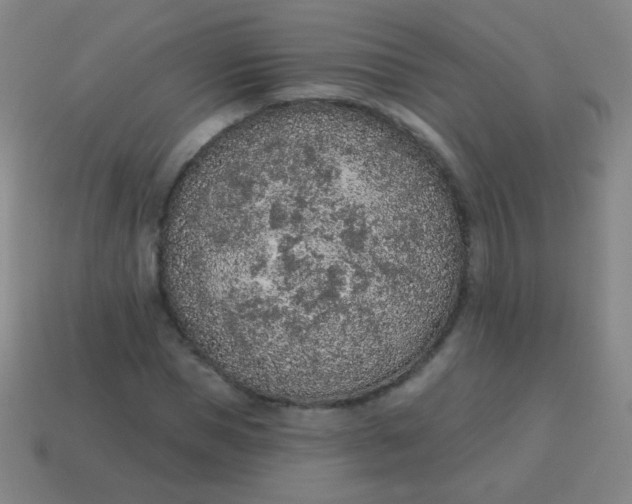 X0000115070921200911101259