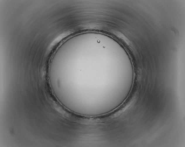 X0000115070922200911101259