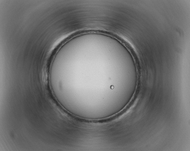 X0000115070925200911101300