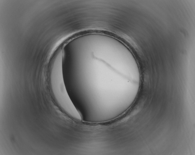 X0000115070926200911101300