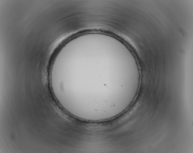 X0000115070927200911101300