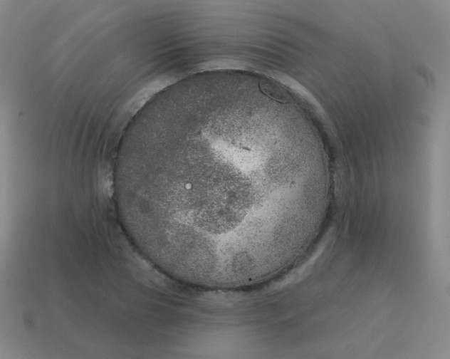 X0000115070929200911101300
