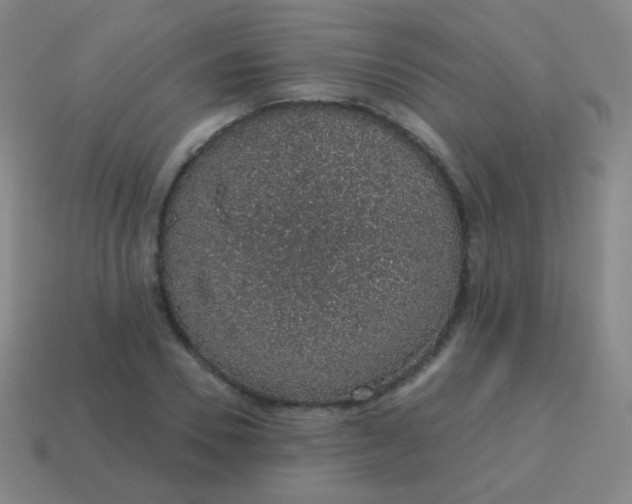 X0000115070930200911101300