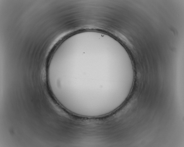 X0000115070934200911101300