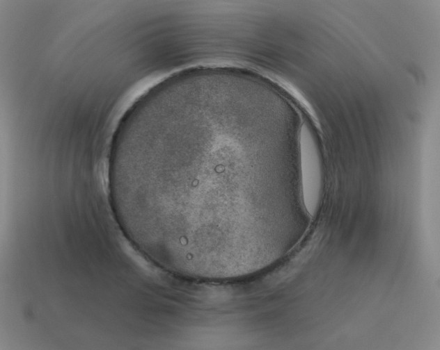 X0000115070935200911101300