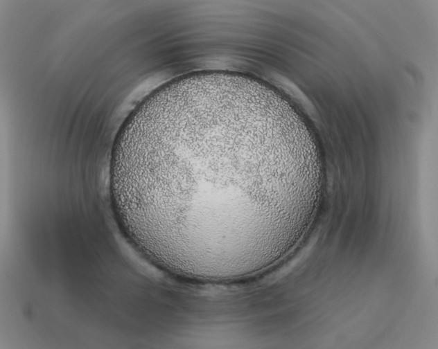 X0000115070938200911101300