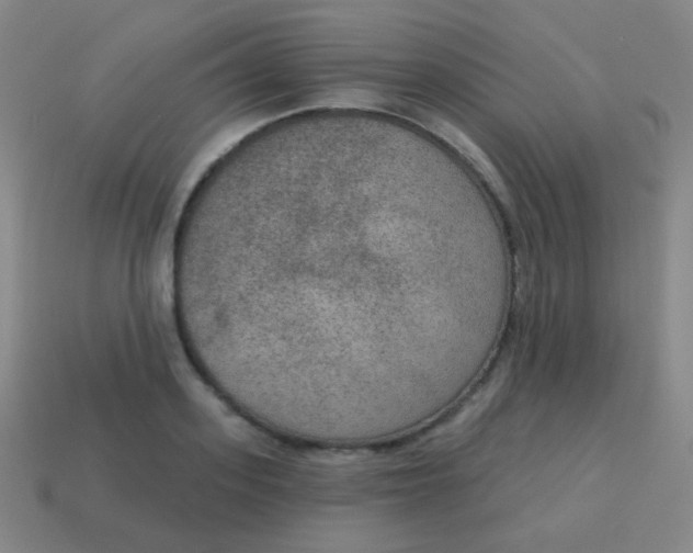 X0000115070939200911101300