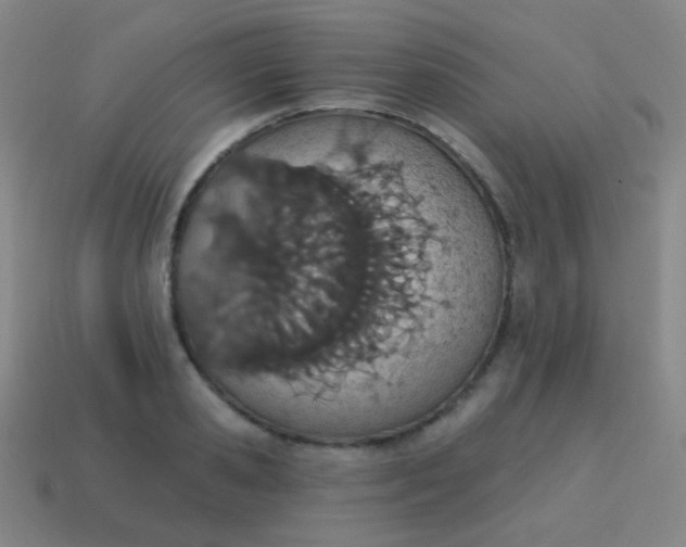 X0000115070941200911101300