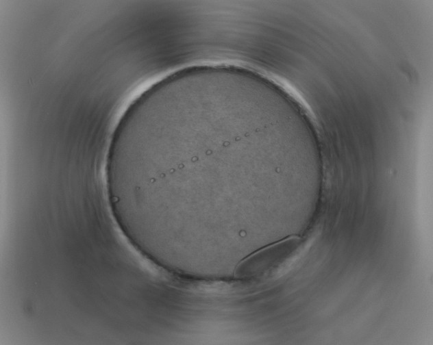X0000115070943200911101300
