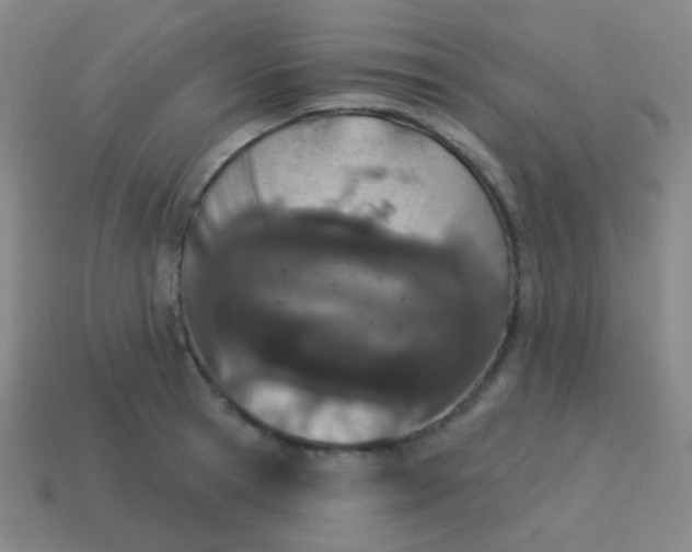 X0000115070945200911101300