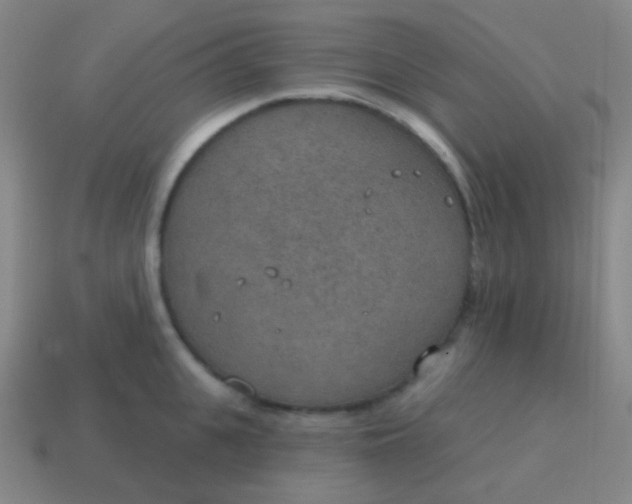 X0000115070951200911101300